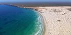 Whales - Head of Bight - SA (PBH3 00 28955)
